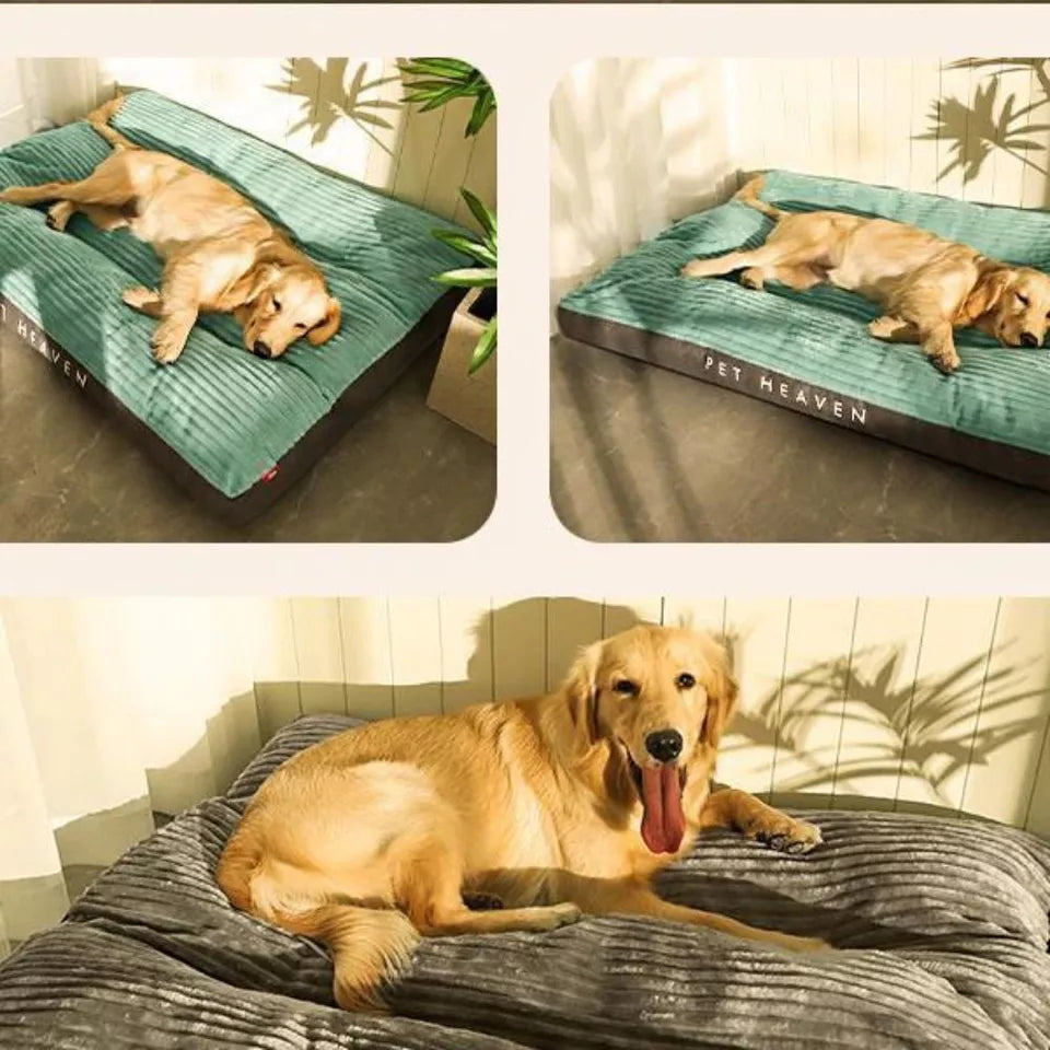Hundeseng – Optimal støtte og fredelig hvile