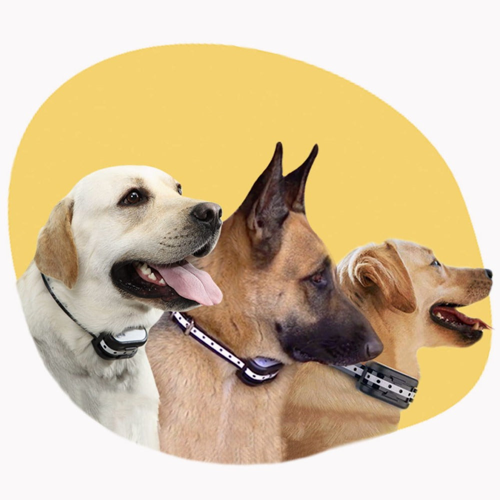 Drahtlose Elektronische Zaun mit Halsband – Sicherheit für Ihren Hund