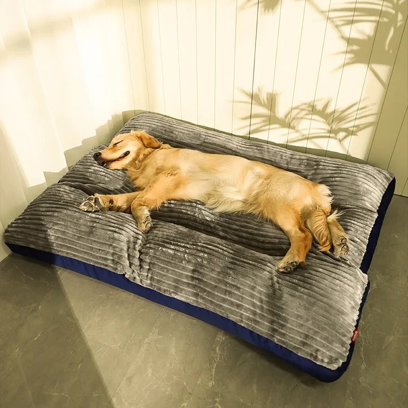 Hundeseng – Optimal støtte og fredelig hvile