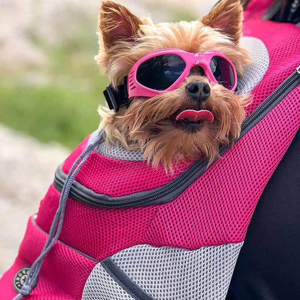 Zaino Animali – Finestra Trasparente e Grande Spazio Interno