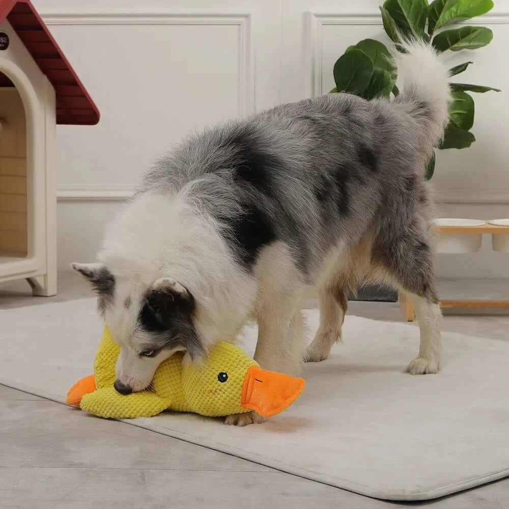 Rustgevende Speelgoed Eend Voor Hond – Speel- En Ontspanningsmaatje