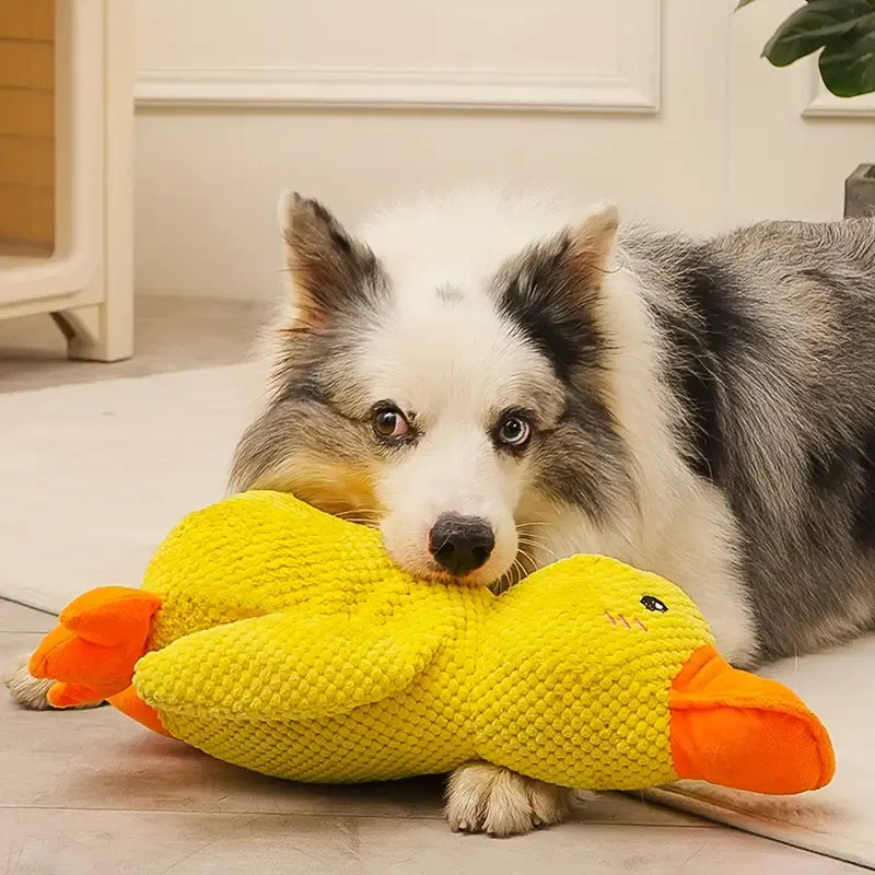 Rustgevende Speelgoed Eend Voor Hond – Speel- En Ontspanningsmaatje