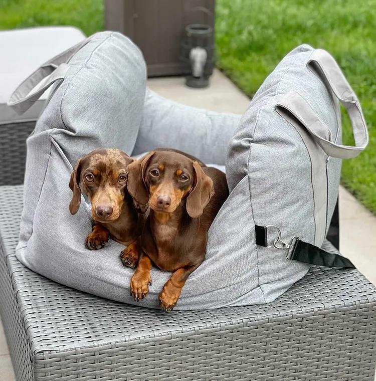 Lit De Voyage Apaisant Pour Chien — Repos Serein Et Facile À Transporter