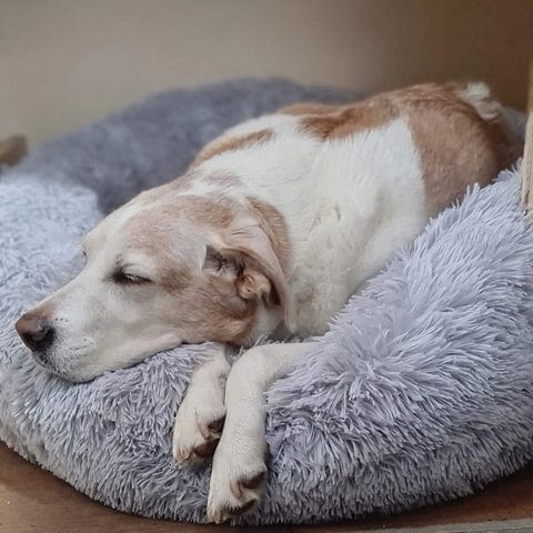 Letto Rilassante Ultra Morbido Per Animali – Comfort E Serenità 
