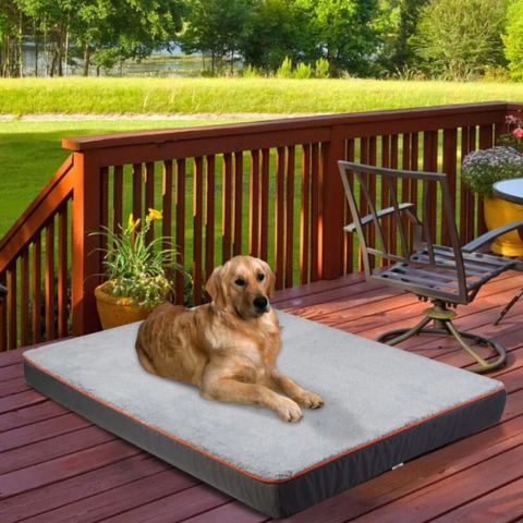 Cama Para Grandes Cães – Conforto E Espaço Adequado 