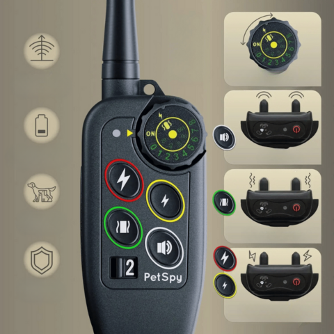 Collier De Dressage À Distance – Précision Et Portée Optimale