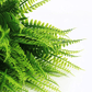Bouquet di Felci Artificiali – Effetto Naturale e Durevole 