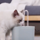 Pet Water Fountain – Continuous Circulation and Effective Filtration 