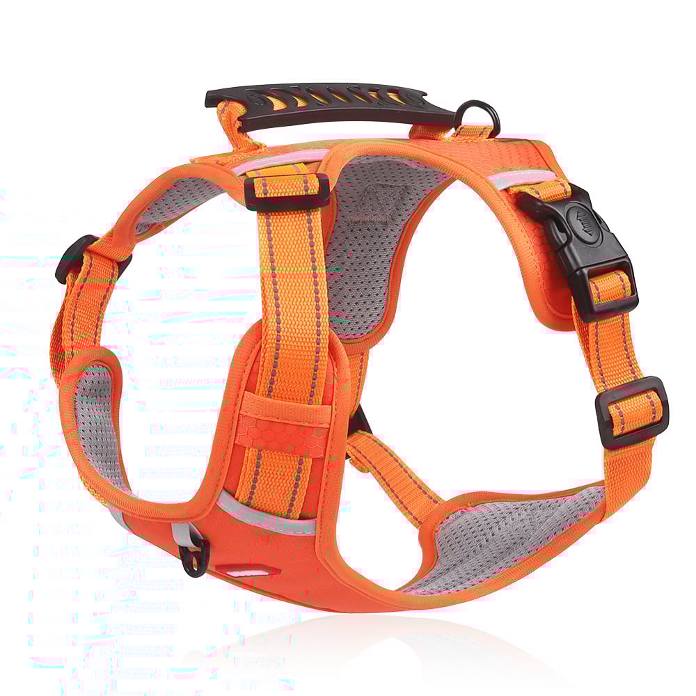 Arnês Refletor para Cão - Conforto e Segurança 