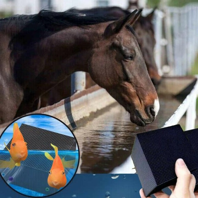 Cubo Purificador de Água para Animais – Água Clara e Saudável no Dia a Dia 
